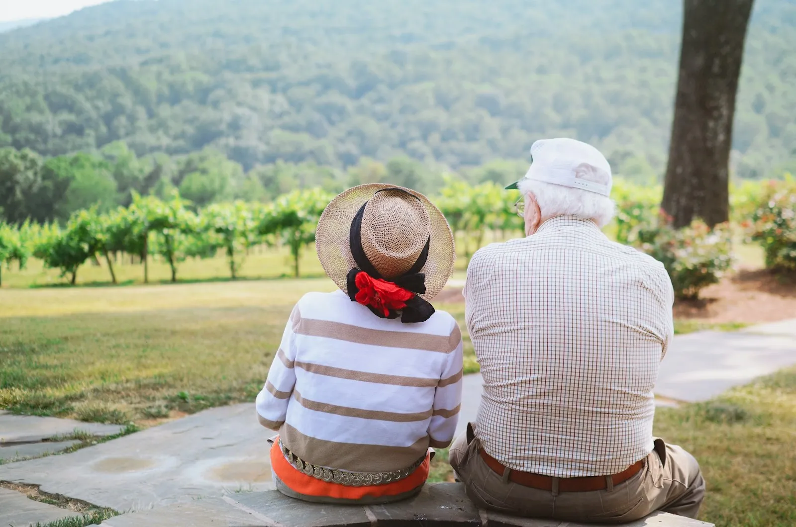 Älteres Paar auf einer Bank über den Weinbergen