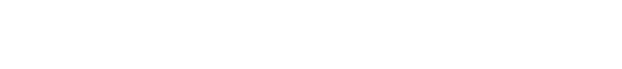 Plinius Finconsult GmbH